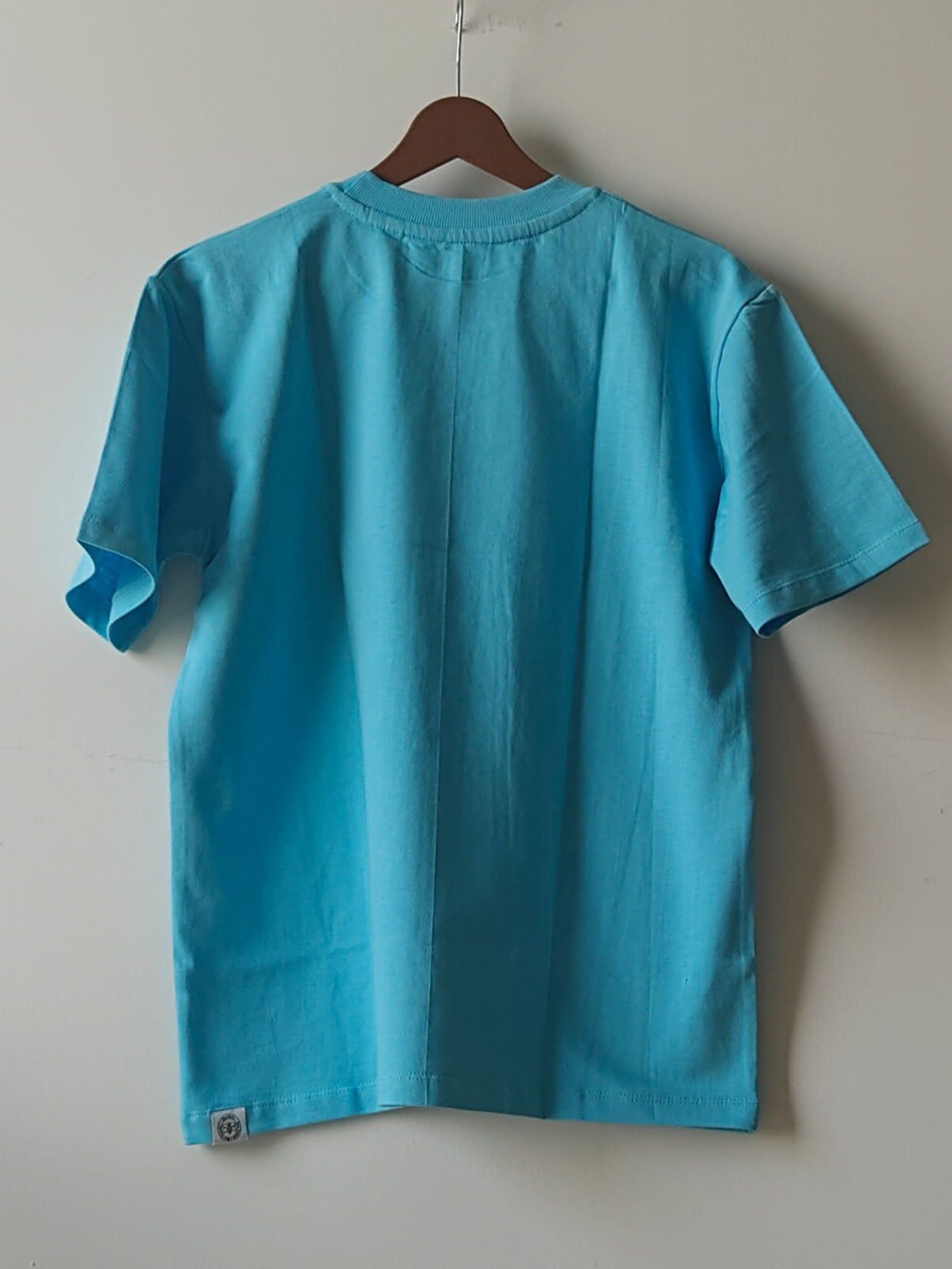 Flying Bird : Unisex Oversized T-shirt